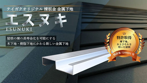 エスヌキサイト